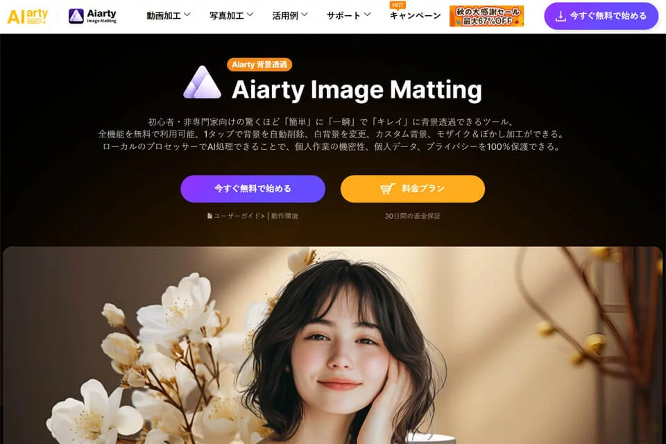 Aiarty Image Matting