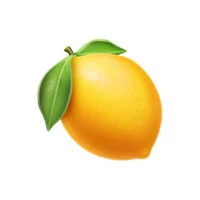 Lemon Slice AI