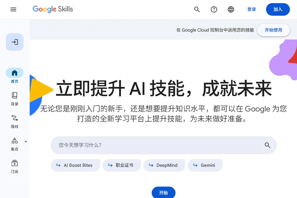 Google Skills